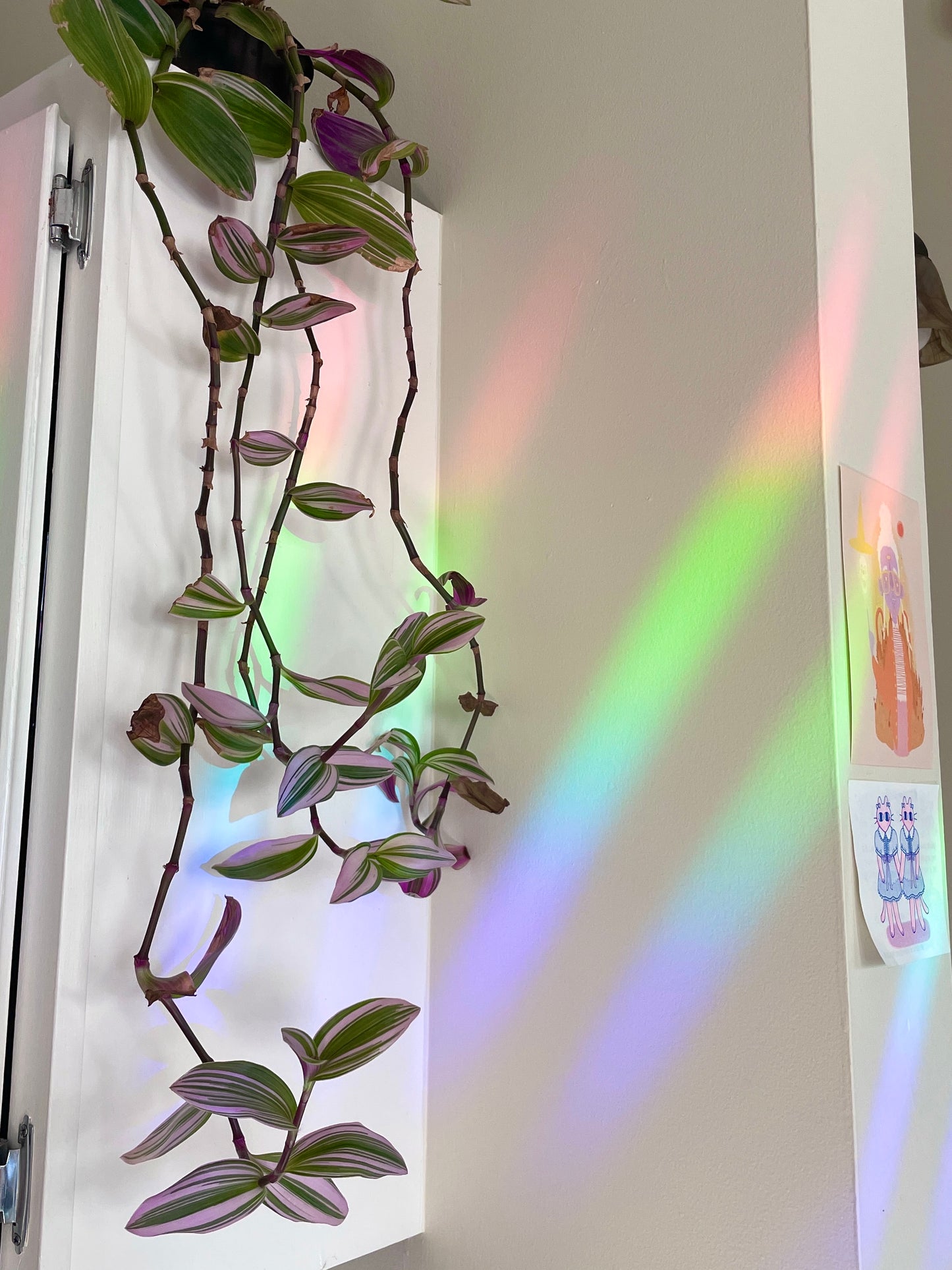 sparkly star rainbow window cling