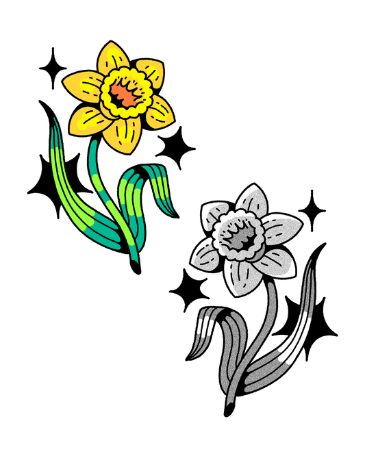 daffodil