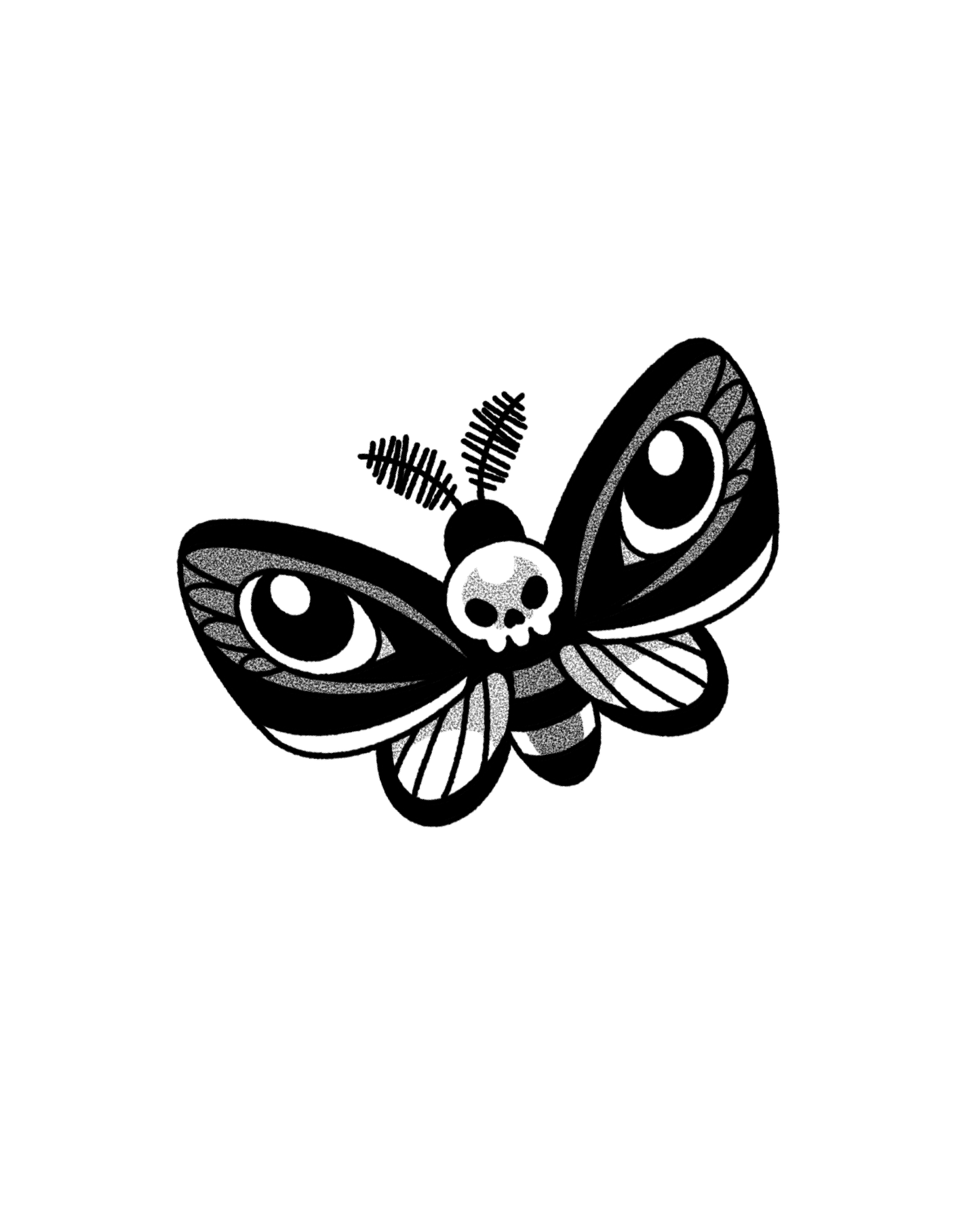moth